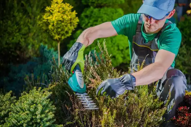 landscaping services Greentop